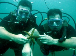 Buceando con estrella de mar